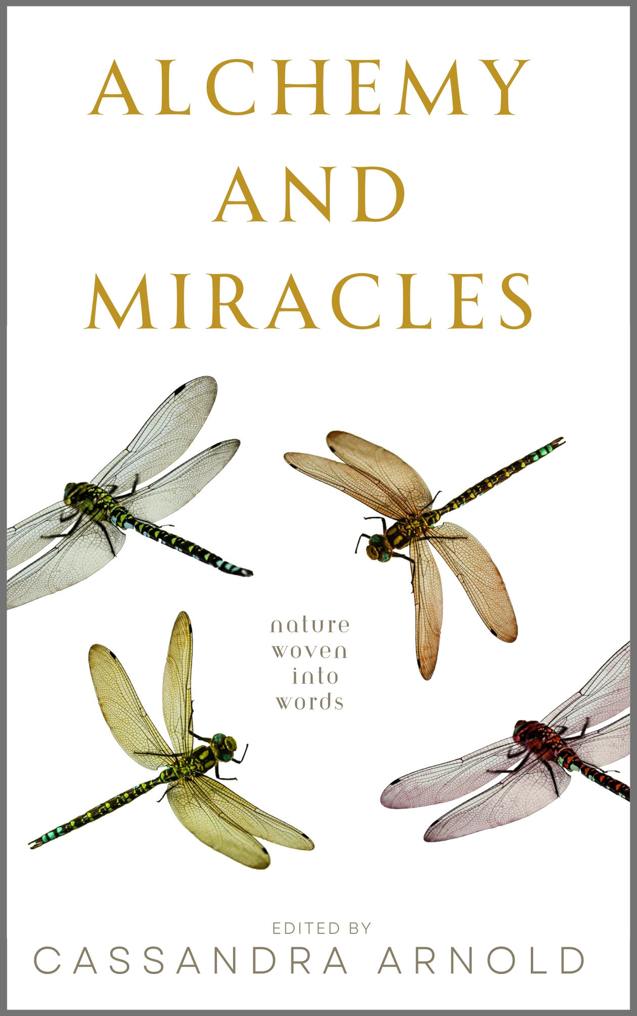 book cover white with dragonflies and gold text, Alchemy and Miracles